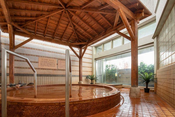 【鳥取駅南口発】 清荒神初詣とカニ付ランチバイキングと湯ったり初湯 日帰り3